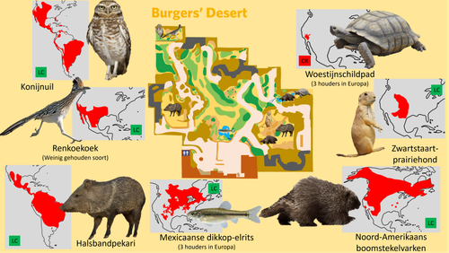 Desert (Verblijven).png