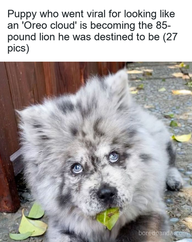 0d27964b 978f 47d5 88e3 3c4acb2208ea.png