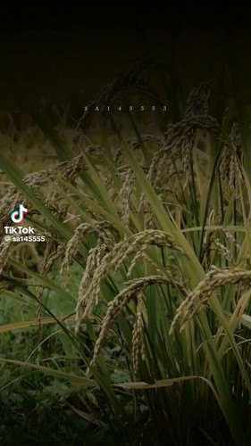 A 5ZQQhG YOD1JCf.jpg