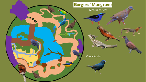 Mangrove (Zoekgids).png
