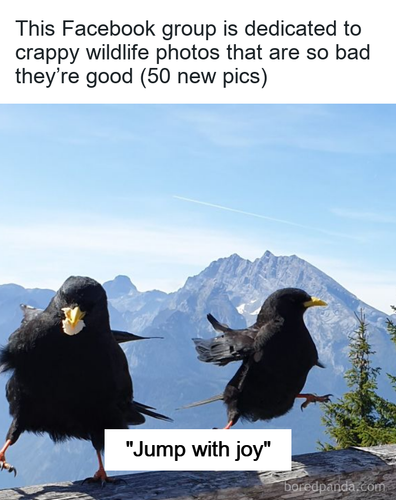 6c12c428 6469 49f2 b1bf 0761d6086dd7.png