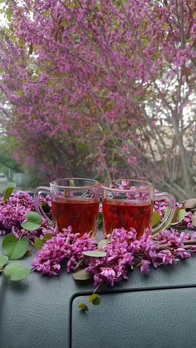 YE0x ETqI5mlzNw6.jpg