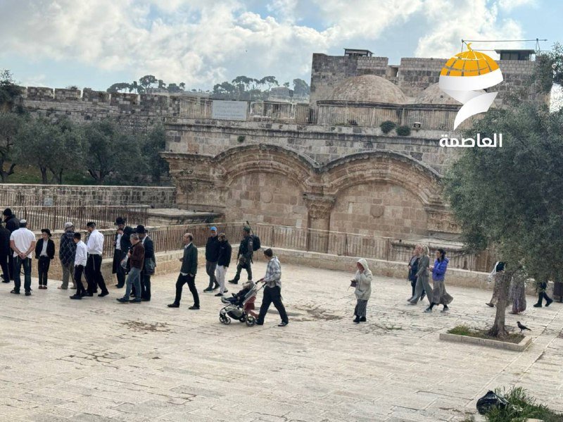 عاجل| مجموعات المستوطنين وبأعداد كبيرة تستأنف اقتحامها للمسجد الأقصى المبارك في ثالث أيام ما يسمى "عيد الفصح العبري"....