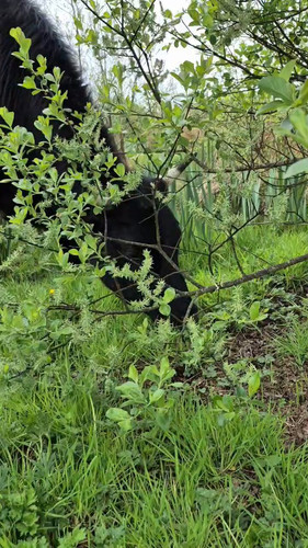 H uIAbvMDTP4Tcq .jpg