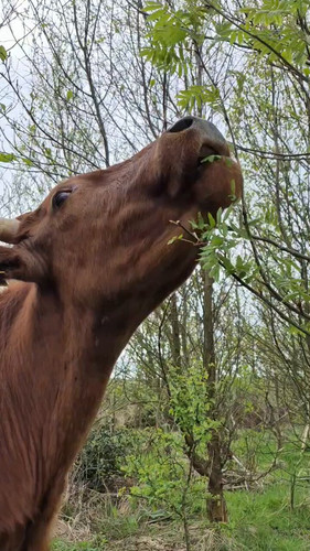 V6wyCePQjQ 39b1V.jpg