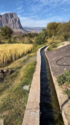 1ZB14iUdmg pIBi5.jpg