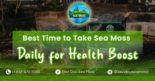 Best Time to Take Sea Moss Daily for Health Boost.jpg