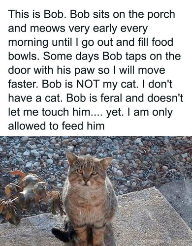 bcc2e64a 8560 4e74 8645 e22a5e4caf4e.jpg