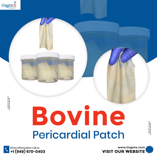 Bovine Pericardial Patch.jpg