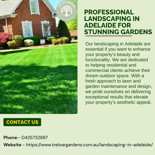 Professional Landscaping in Adelaide for Stunning Gardens.jpg