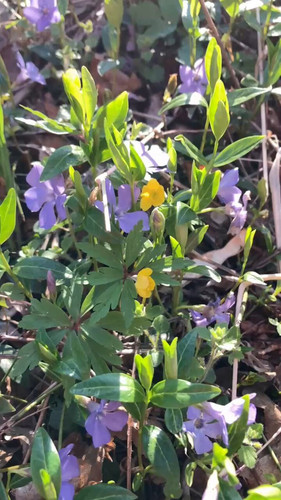 uF Ma8Ndf0WQURuj.jpg