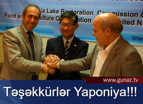 490767524 994917666168902 1016687502891802171 n.jpg? nc cat=106&ccb=1 7& nc sid=127cfc& nc ohc=6gYaT.jpg