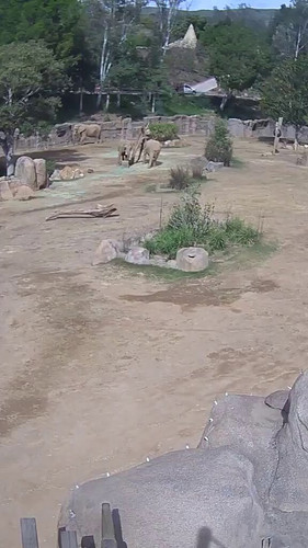 afZ cXY hfqpi9sy.jpg