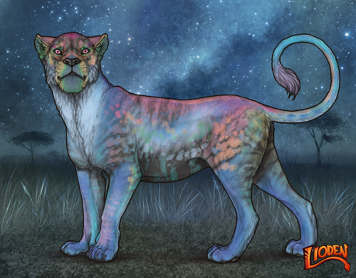 lioden wardrobe 2025 04 15T140809.073.png