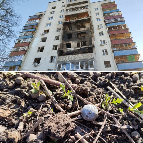 kNXI8scvn4ZduhSP9pA7xT7Ml7MLinD6pUxDKTnFrvTVxzNltIFLHzcWTm al5sSTKbknjZSYM tum 7kNRZTLxdS7dOU3CCE93 .jpg