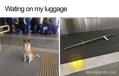 funny travel airport memes 203 5da6e2122e8cd 700.jpg