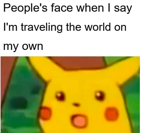 travel meme 5 480.png