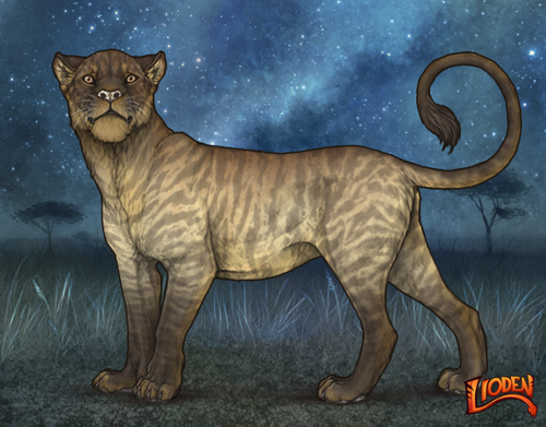 lioden wardrobe 2025 04 15T141823.296.png