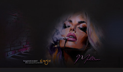 EN PAHALI DERSLERİ kopya 2.jpg