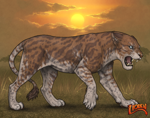 lioden wardrobe 2025 04 15T135956.311.png