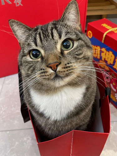 490260846 1210101247787890 633259970087931557 n.jpg