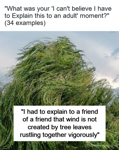 79357436 1200 4218 aaba 19f0f918a838.png