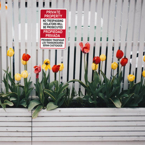 22 LP 25N0411 02.png