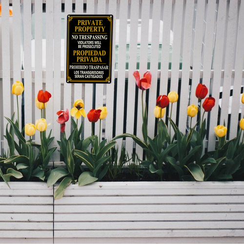 22 LP 25N0411 09.png