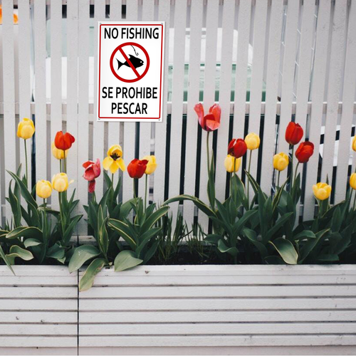 22 LP 25N0412 12.png