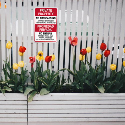 22 LP 25N0411 08.png