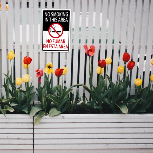 22 LP 25N0412 01.png