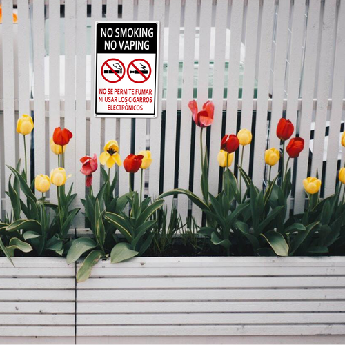 22 LP 25N0412 02.png