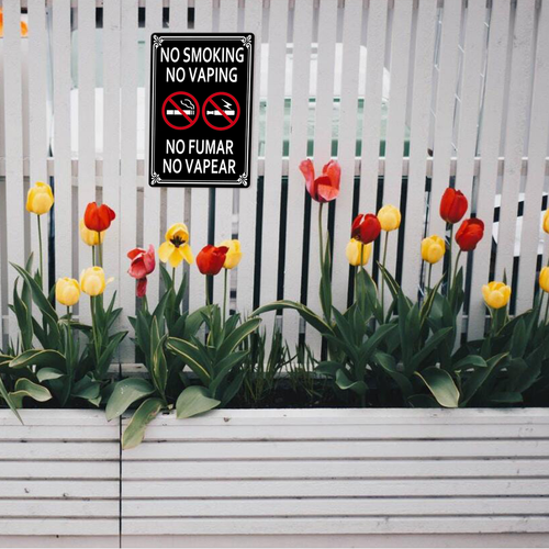 22 LP 25N0412 03.png