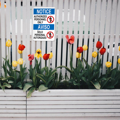 22 LP 25N0411 11.png