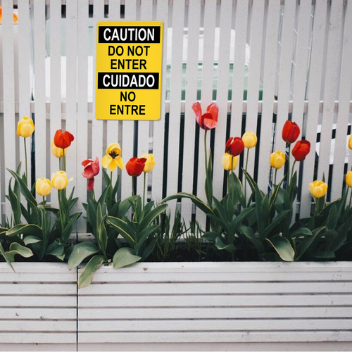 22 LP 25N0411 12.png