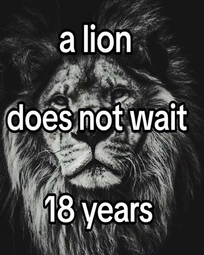 lion2 5x4.jpg
