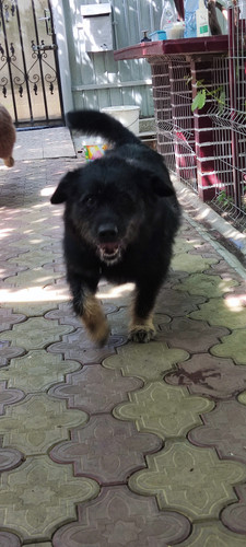 IMG 20220626 155118.jpg