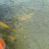 GIF 20250415162753603.gif
