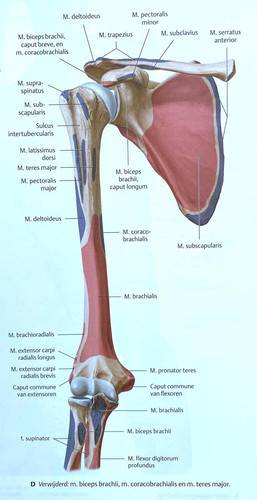956fad7510e2.jpg