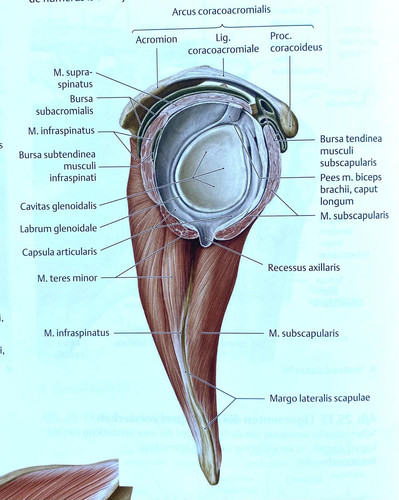 640391c82076.jpg