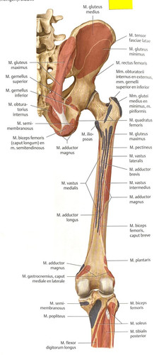 55cf1997c34f.jpg