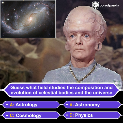 image (1).png