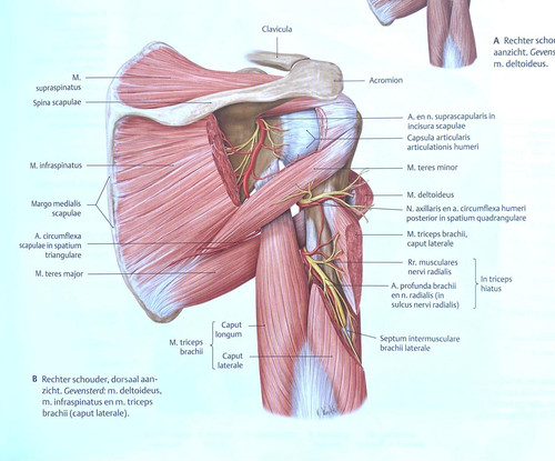 23e36f828c7d.jpg