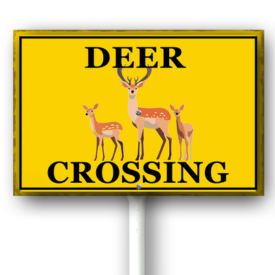 csoes0415wic463wv 4.png