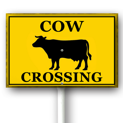 csoes0415wic463wv 1.png