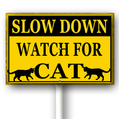 csoes0415wic463wv 16.png