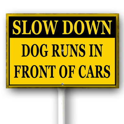 csoes0415wic463wv 19.png