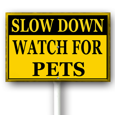 csoes0415wic463wv 17.png