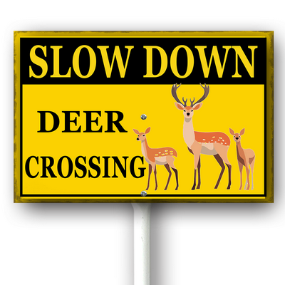 csoes0415wic463wv 5.png