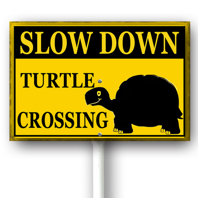 csoes0415wic463wv 10.png